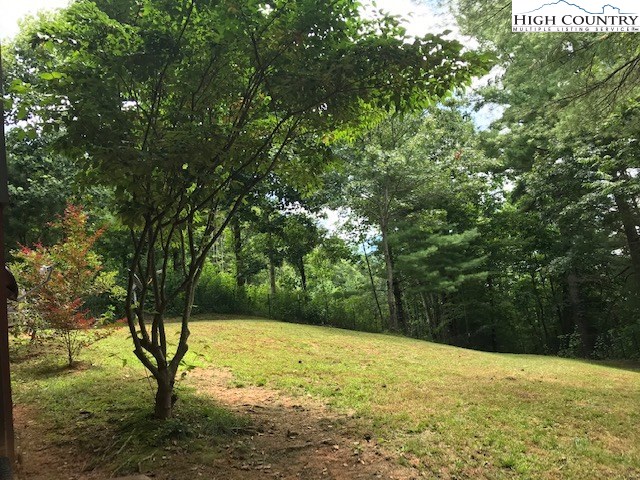 3449 Wildcat Road Deep Gap, NC 28618 - Photo 19 of 21 Gallery Image 19