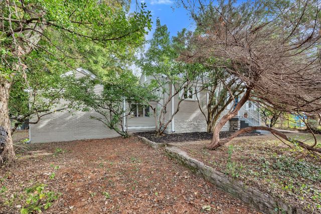 a view of a yard with a tree