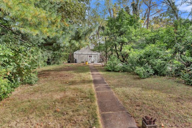 a view of a yard with plants and large trees
