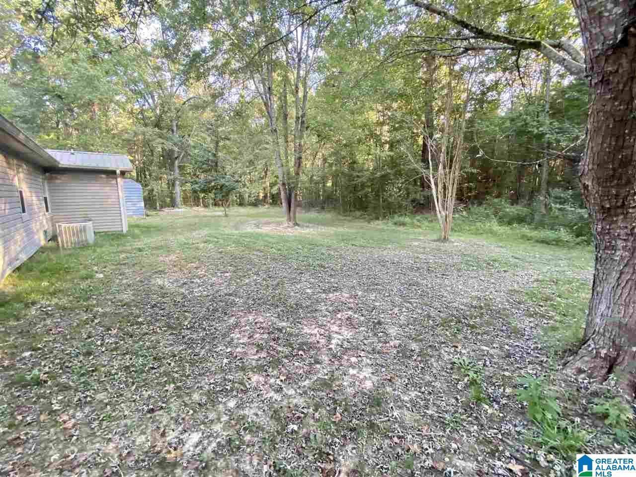 897 Kahatchee Loop Childersburg, AL 35044 - Photo 11 of 45
