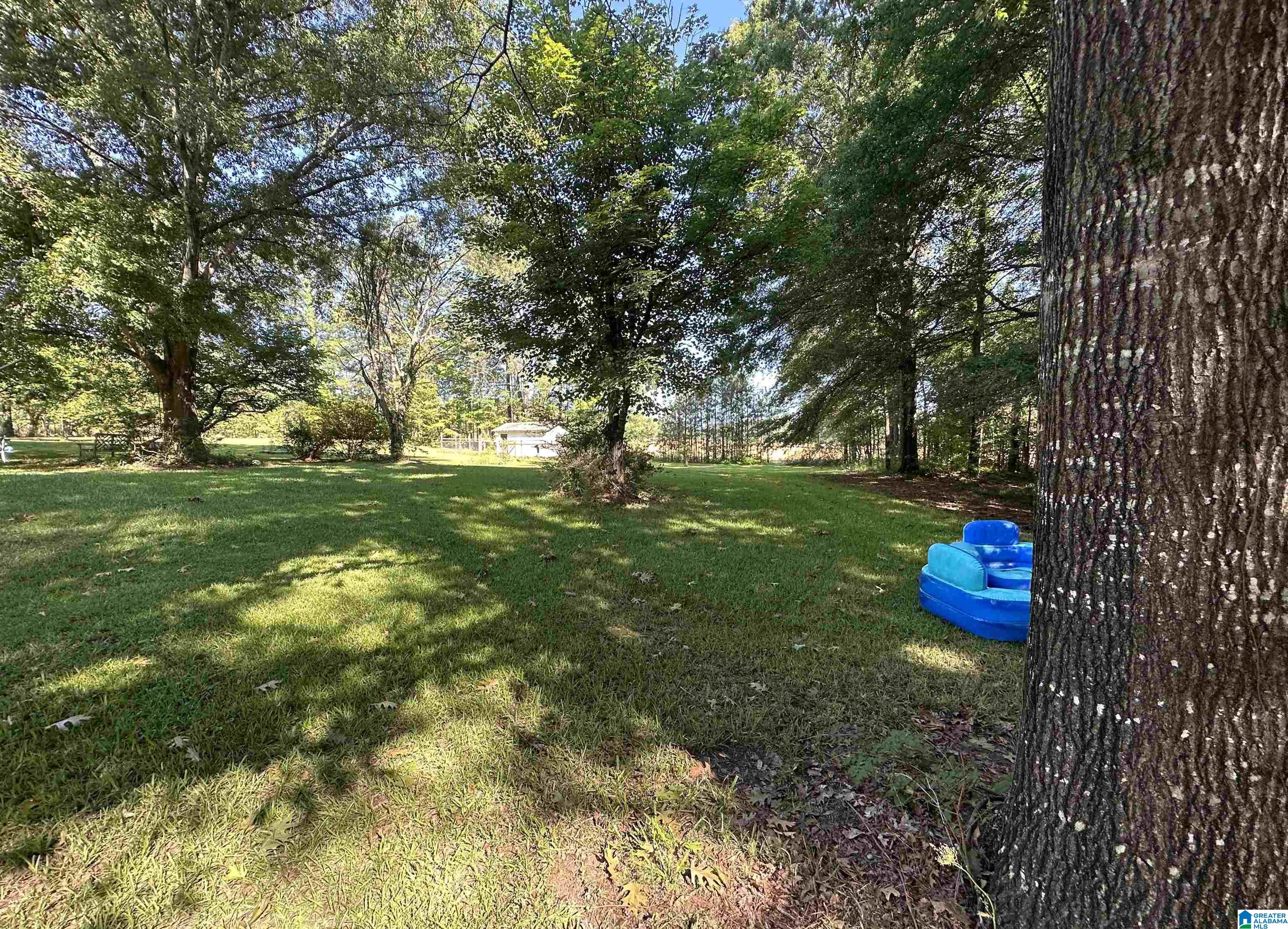 255 Lower Bon Air Road Sylacauga, AL 35150 - Photo 43 of 44