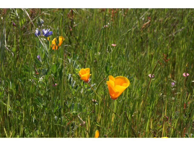 560 Lewis Road Watsonville, CA 95076 - Photo 12 of 25 Gallery Image 12
