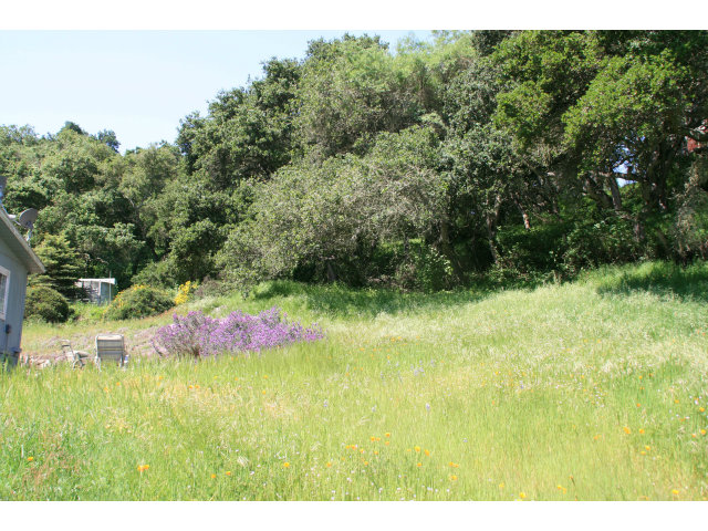 560 Lewis Road Watsonville, CA 95076 - Photo 5 of 25 Gallery Image 5