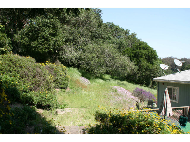 560 Lewis Road Watsonville, CA 95076 - Photo 6 of 25 Gallery Image 6