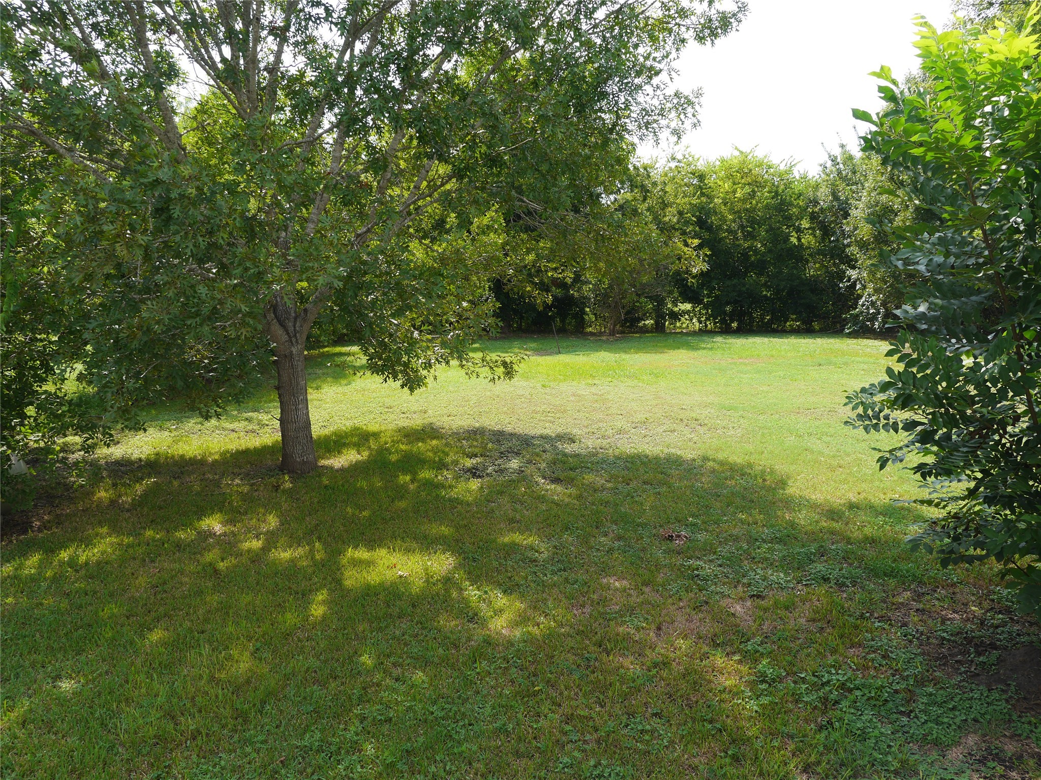 16020 1/2 Sam Brookins Street Sugar Land, TX 77498 - Photo 1 of 23 a view of outdoor space with deck and yard