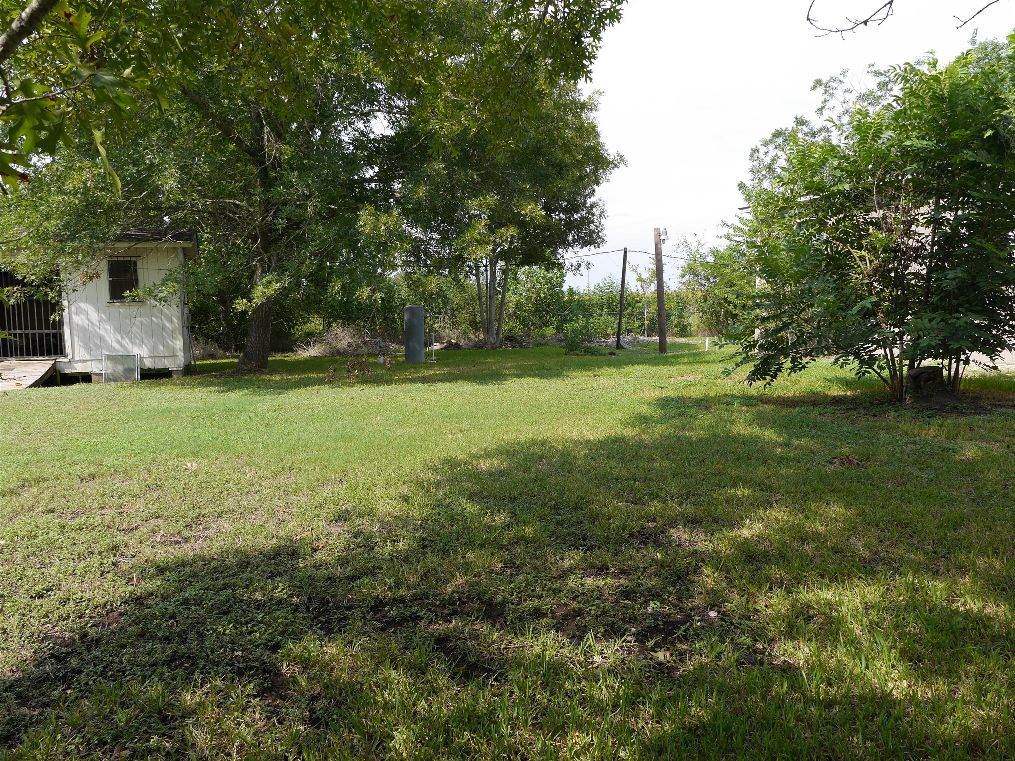 16020 1/2 Sam Brookins Street Sugar Land, TX 77498 - Photo 16 of 23 a view of a trees in a yard
