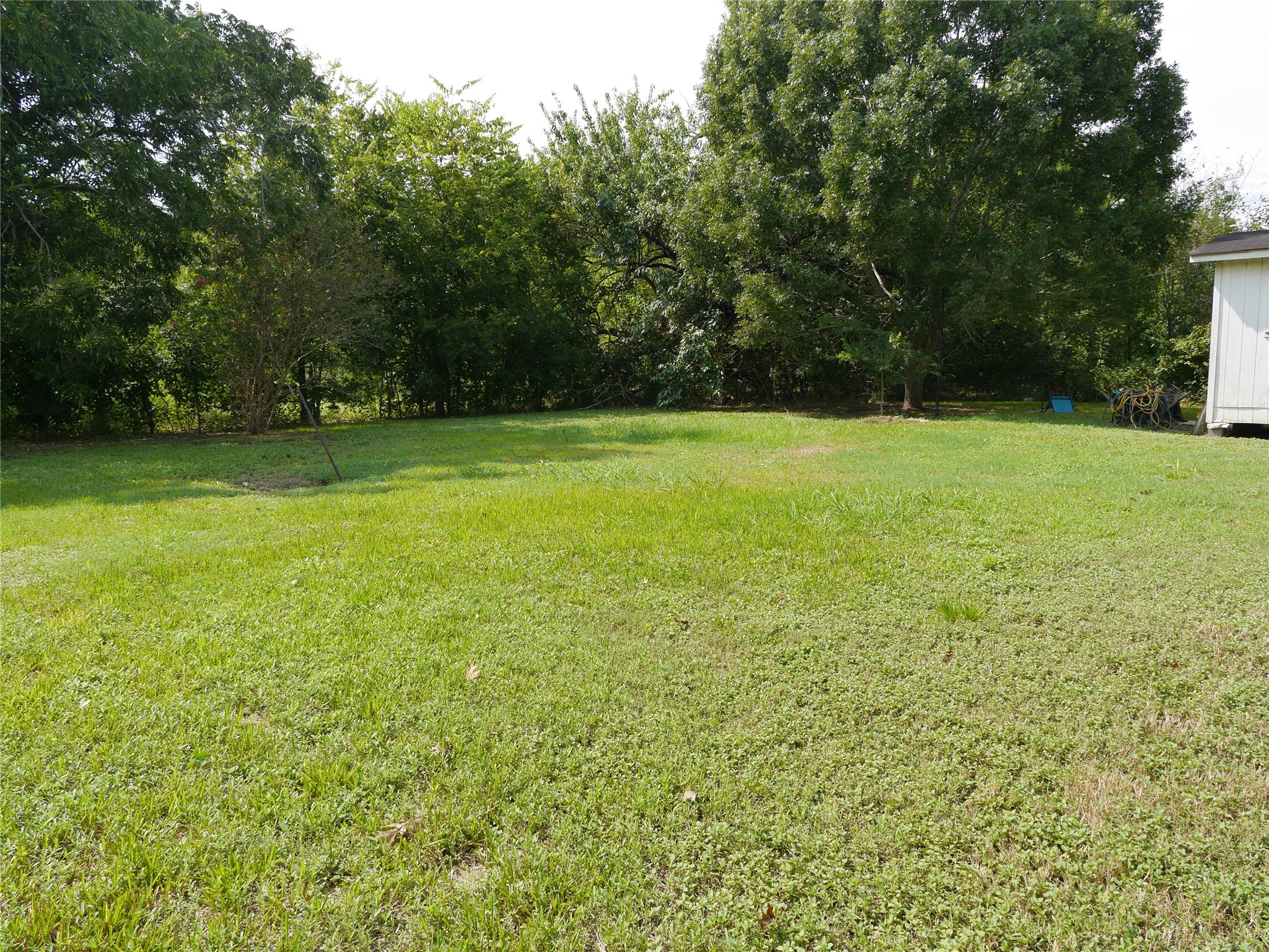 16020 1/2 Sam Brookins Street Sugar Land, TX 77498 - Photo 18 of 23 a view of a field of grass and trees