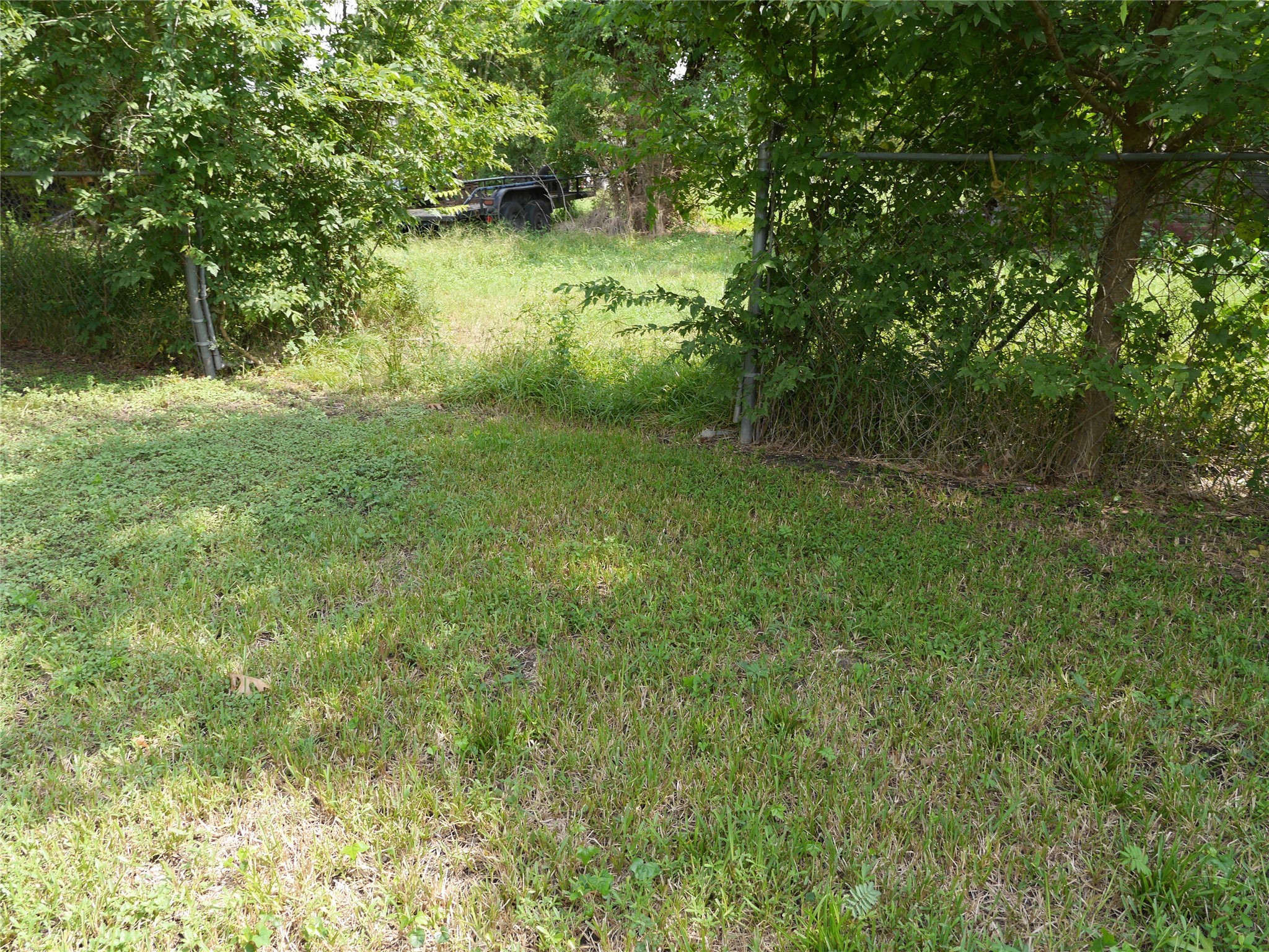 16020 1/2 Sam Brookins Street Sugar Land, TX 77498 - Photo 19 of 23 a view of a green yard