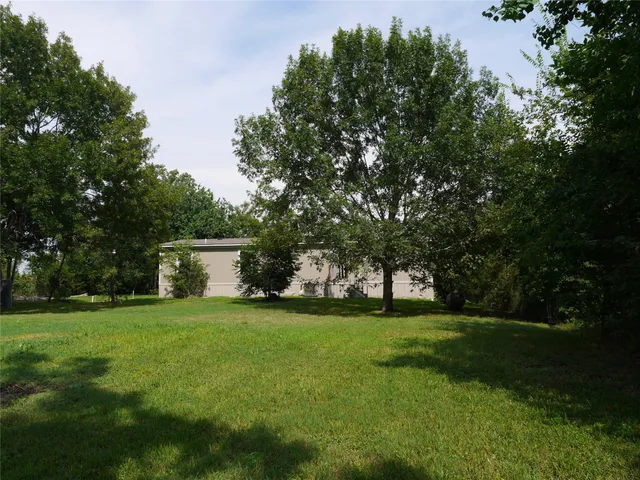 a view of a trees with a big yard