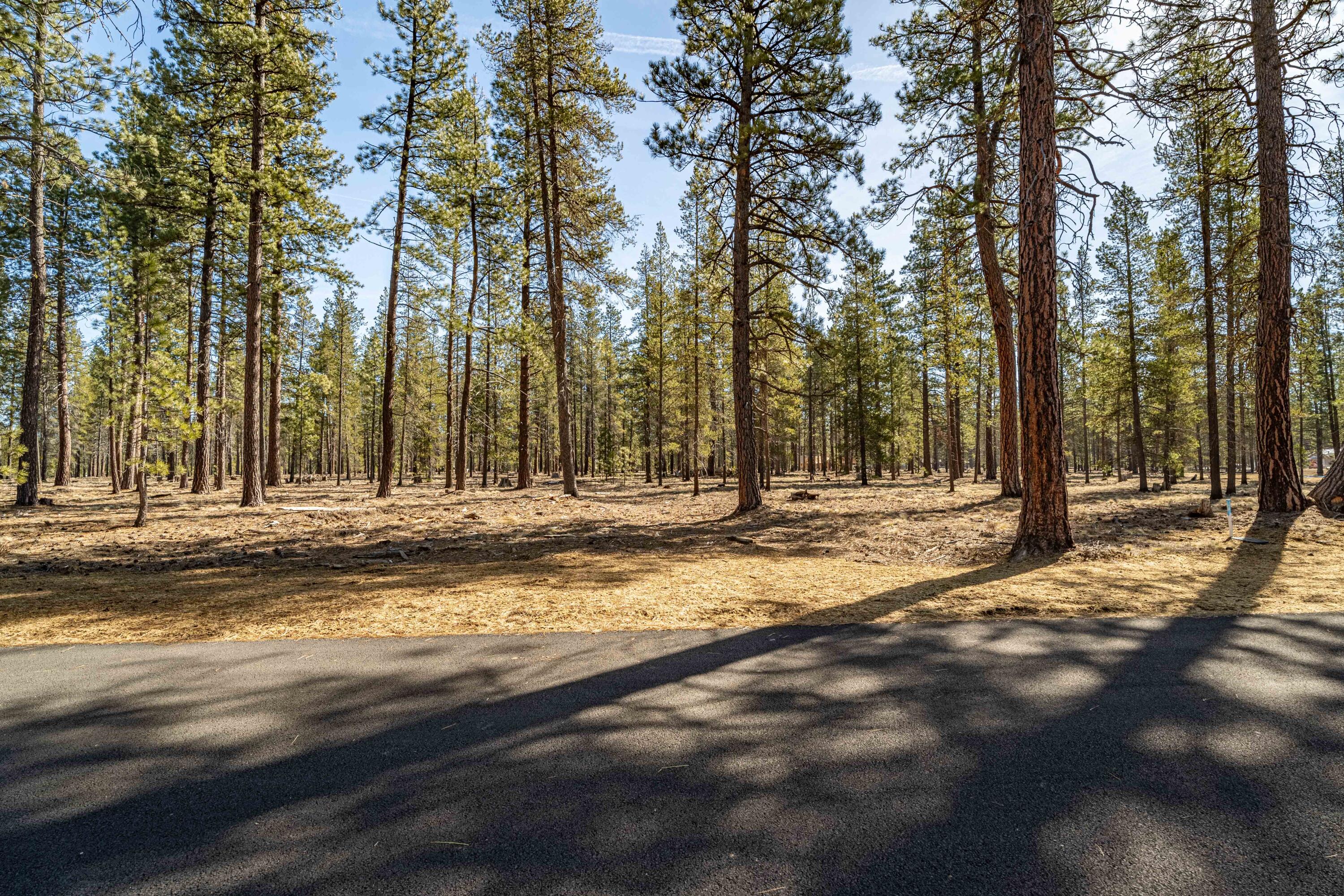 Preservation Loop Bend, Unit 488 Bend, OR 97707 - Photo 7 of 21 DSC07476-2-HDR
