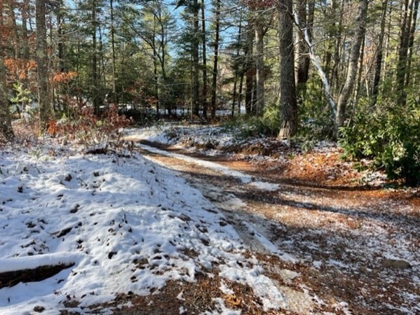 51 Boot Pond Road Plymouth, MA 02360 - Photo 20 of 24 Gallery Image 20