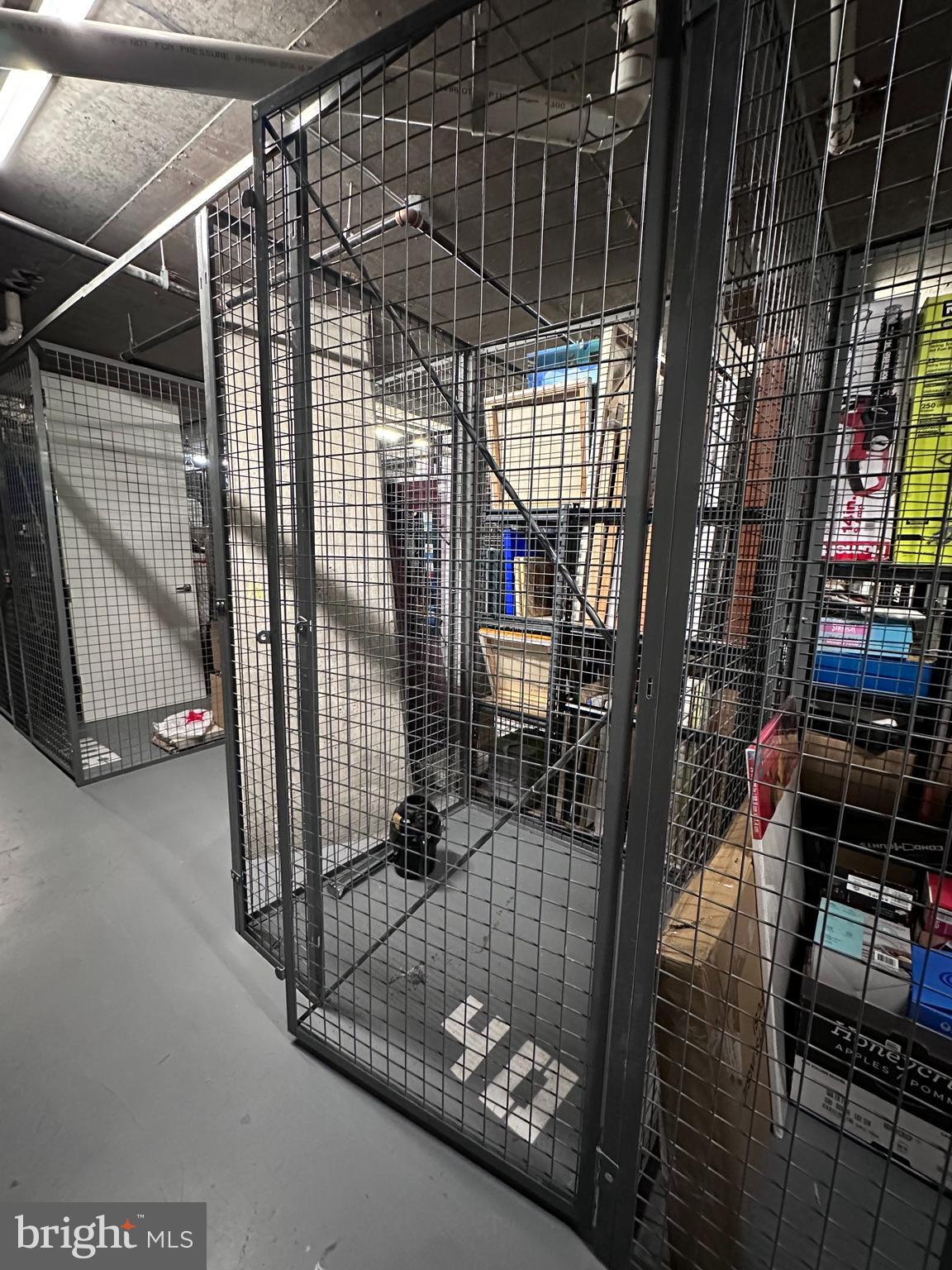 12025 New Dominion Parkway, Unit 103 Reston, VA 20190 - Photo 39 of 51 Storage unit on LL