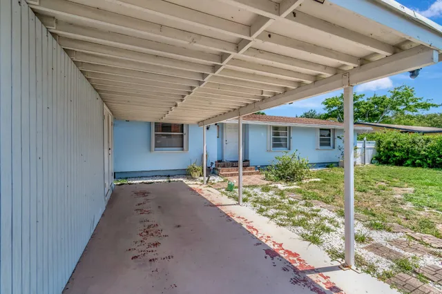 a view of backyard with large tree