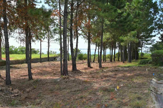 a view of outdoor space with trees