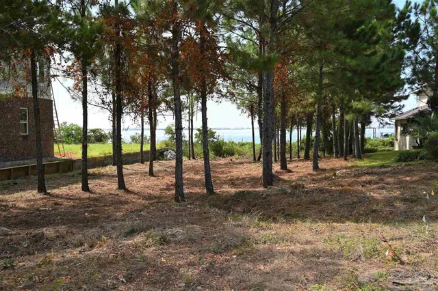 a view of park with trees