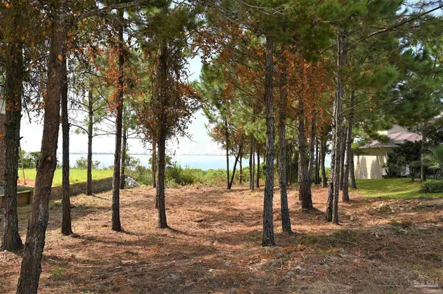 a view of a yard with a tree