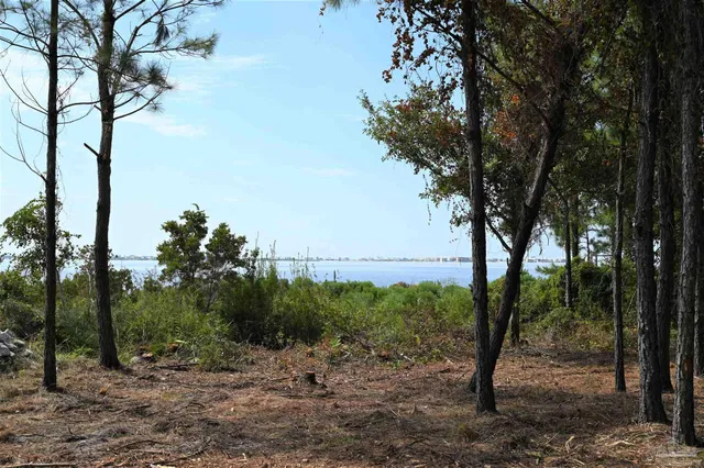 a view of a city with lots of palm trees