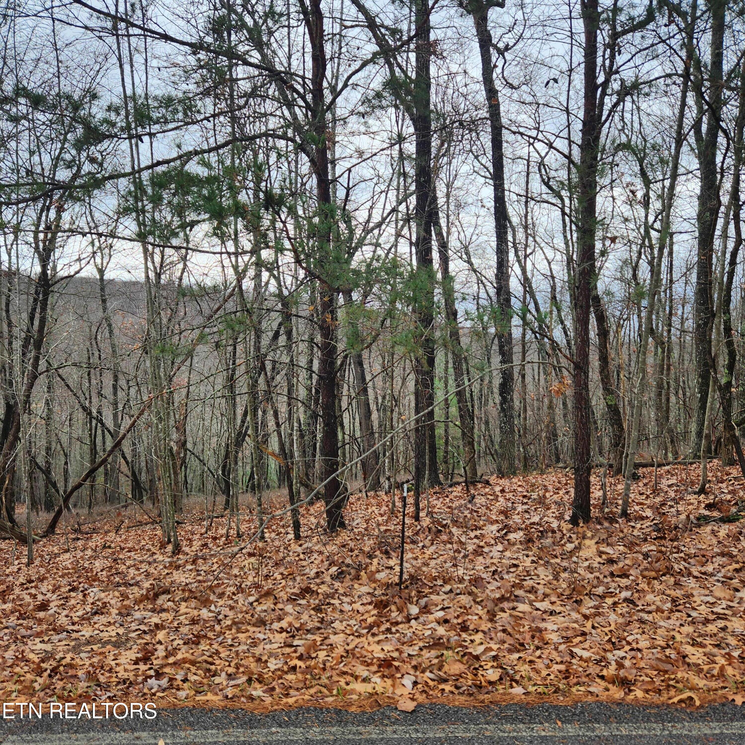 320 Rotherham Drive Crossville, TN 38558 - Photo 1 of 2 20251125_103311