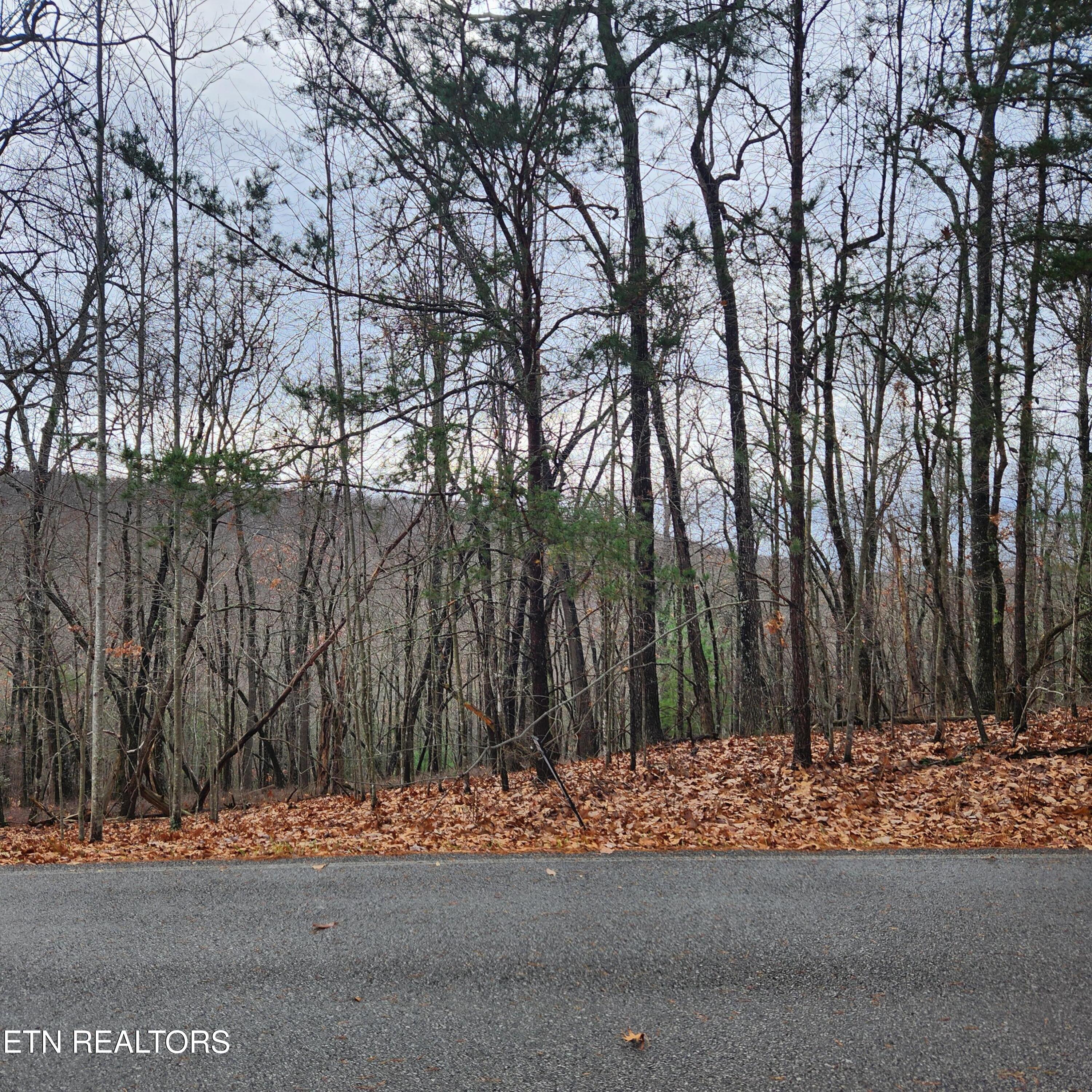 320 Rotherham Drive Crossville, TN 38558 - Photo 2 of 2 20251125_103231