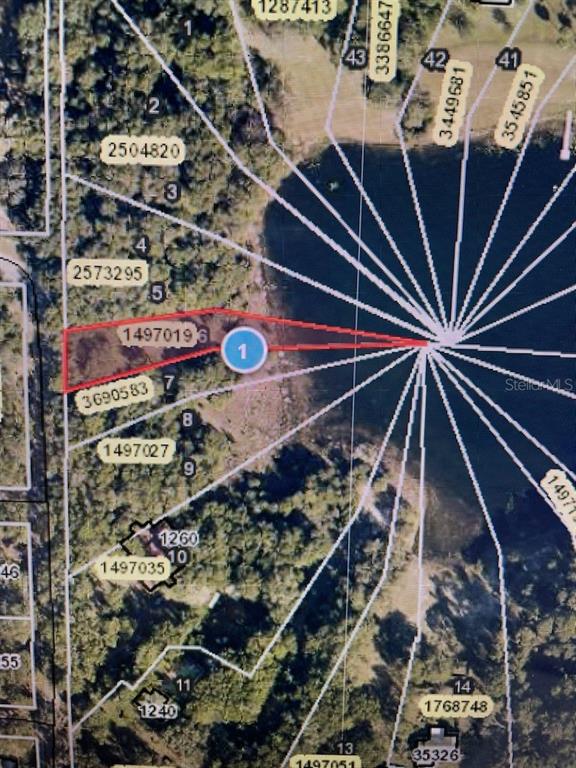 6 Spring Lake Road Fruitland Park, FL 34731 - Photo 1 of 1 Gallery Image 1