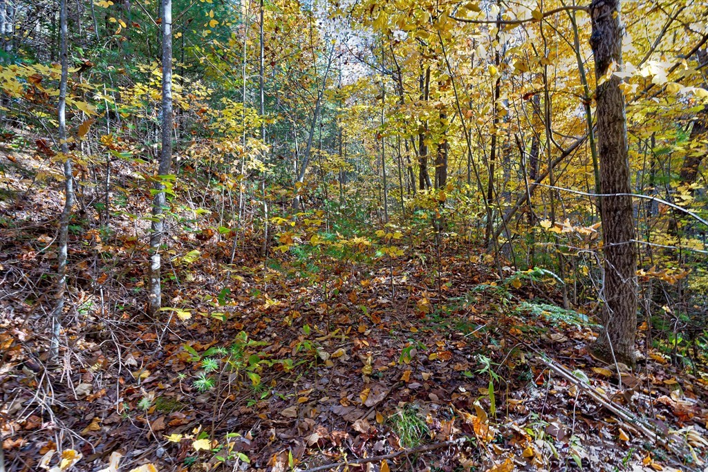 58 Harvest Moon Road Sevierville, TN 37862 - Photo 15 of 18 Gallery Image 15