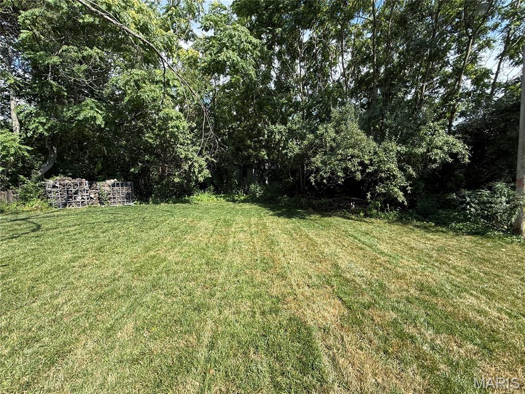 1133 Union School Road Ava, IL 62907 - Photo 12 of 46