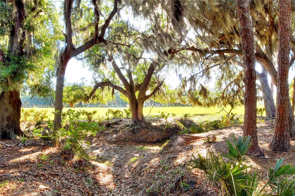 18100 Dorman Road Lithia, FL 33547 - Photo 7 of 14 Gallery Image 7