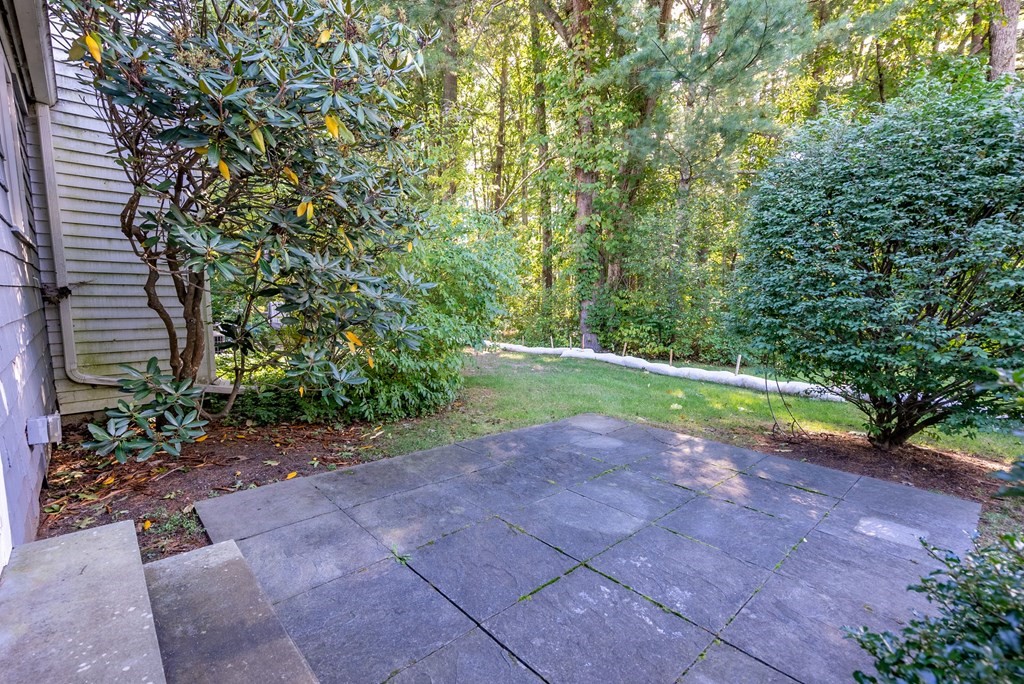 79 Jericho Road, Unit 79 Weston, MA 02493 - Photo 16 of 16 a view of a yard with plants and large trees