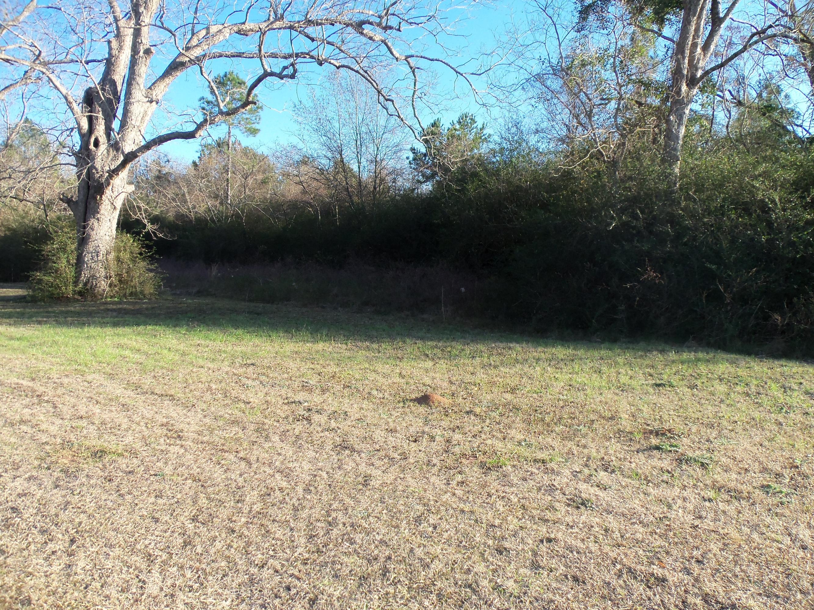 0 Jack Stokes Road Baker, FL 32531 - Photo 4 of 9 a view of a garden