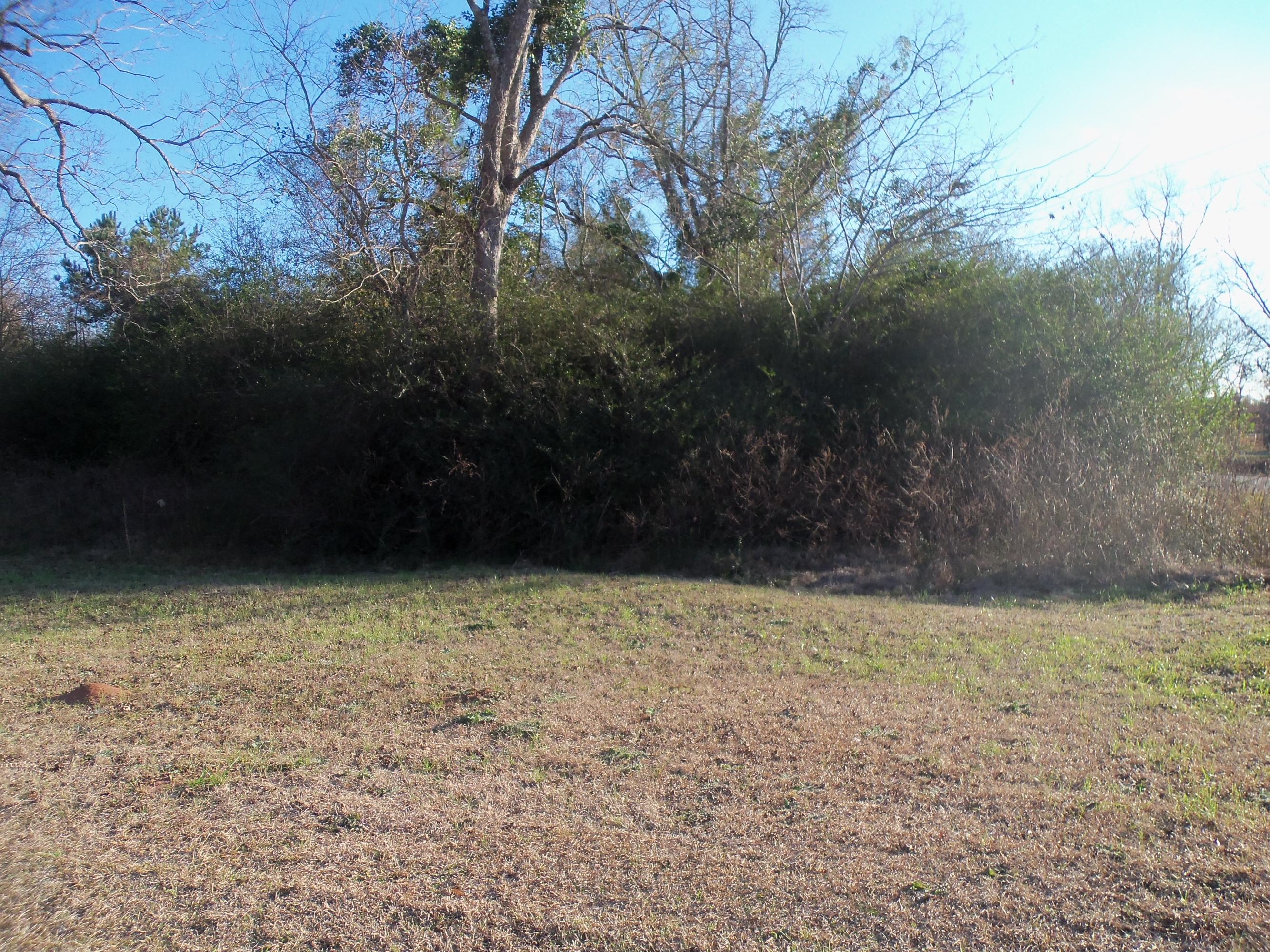 0 Jack Stokes Road Baker, FL 32531 - Photo 5 of 9 a view of a yard