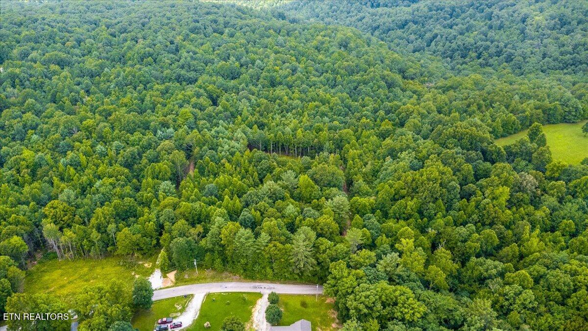 638 Jane Phillips Road Oneida, TN 37841 - Photo 13 of 16 09-Jane Phillips Rd