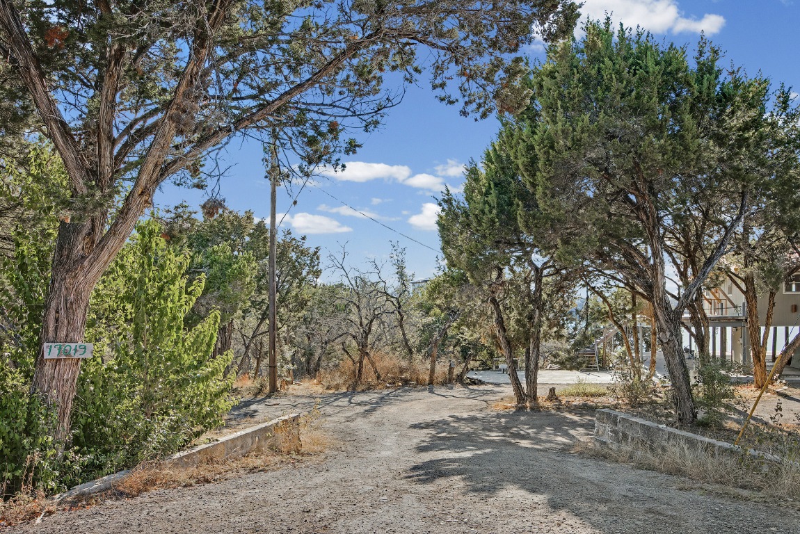17019 Rocky Ridge Road Austin, TX 78734 - Photo 22 of 37 a view of a yard with plants and trees