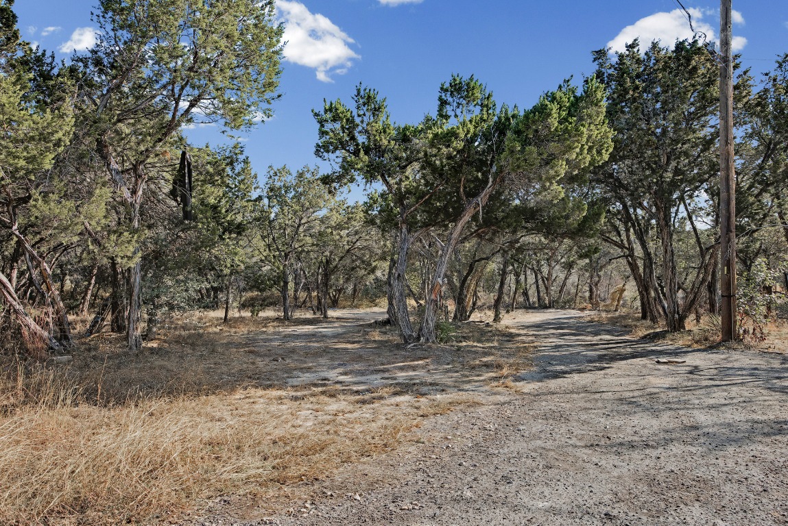 17019 Rocky Ridge Road Austin, TX 78734 - Photo 26 of 37 a view of dirt yard with a trees