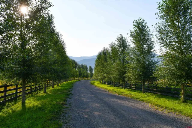 a view of a park with large trees