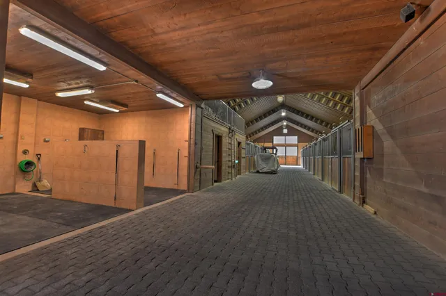 a street view with large trees