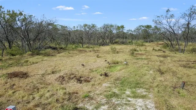 a view of a yard with a tree