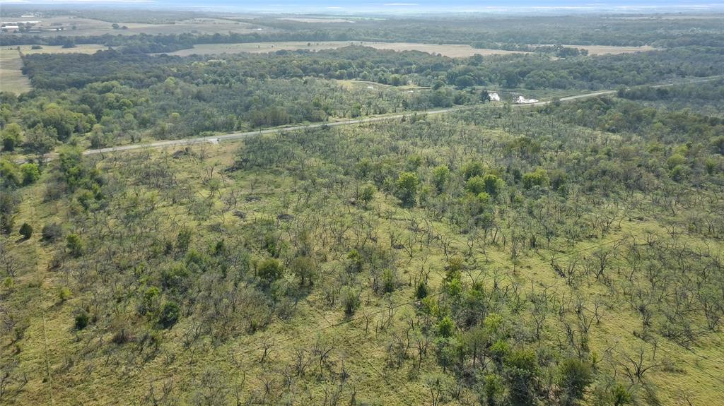 Tbd Tbd Ranch Corsicana, TX 75110 - Photo 16 of 24 an aerial view of forest