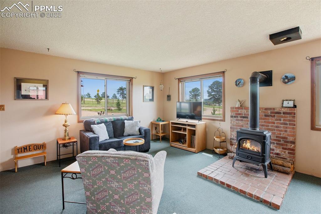 12 Ridge Drive Divide, CO 80814 - Photo 31 of 49 a living room with furniture and a window