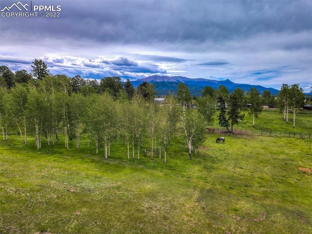 12 Ridge Drive Divide, CO 80814 - Photo 48 of 49 a view of a city