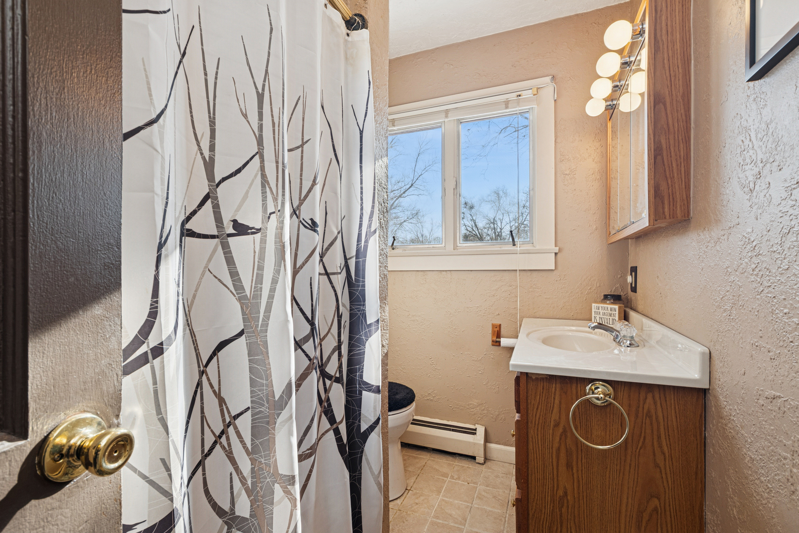 10705 Lane Street Crown Point, IN 46307 - Photo 18 of 36 a bathroom with a sink and mirror with bathtub