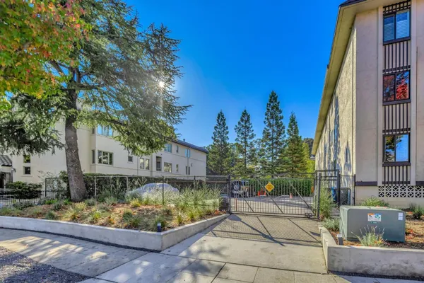 a view of a backyard with wooden fence