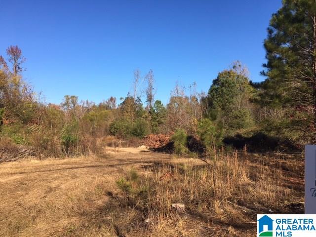 5230 Eastern Valley Road Bessemer, AL 35022 - Photo 1 of 3