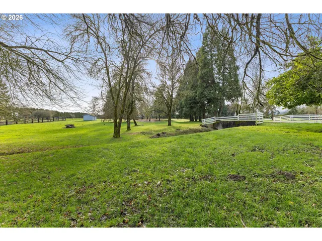 a view of a park with large trees