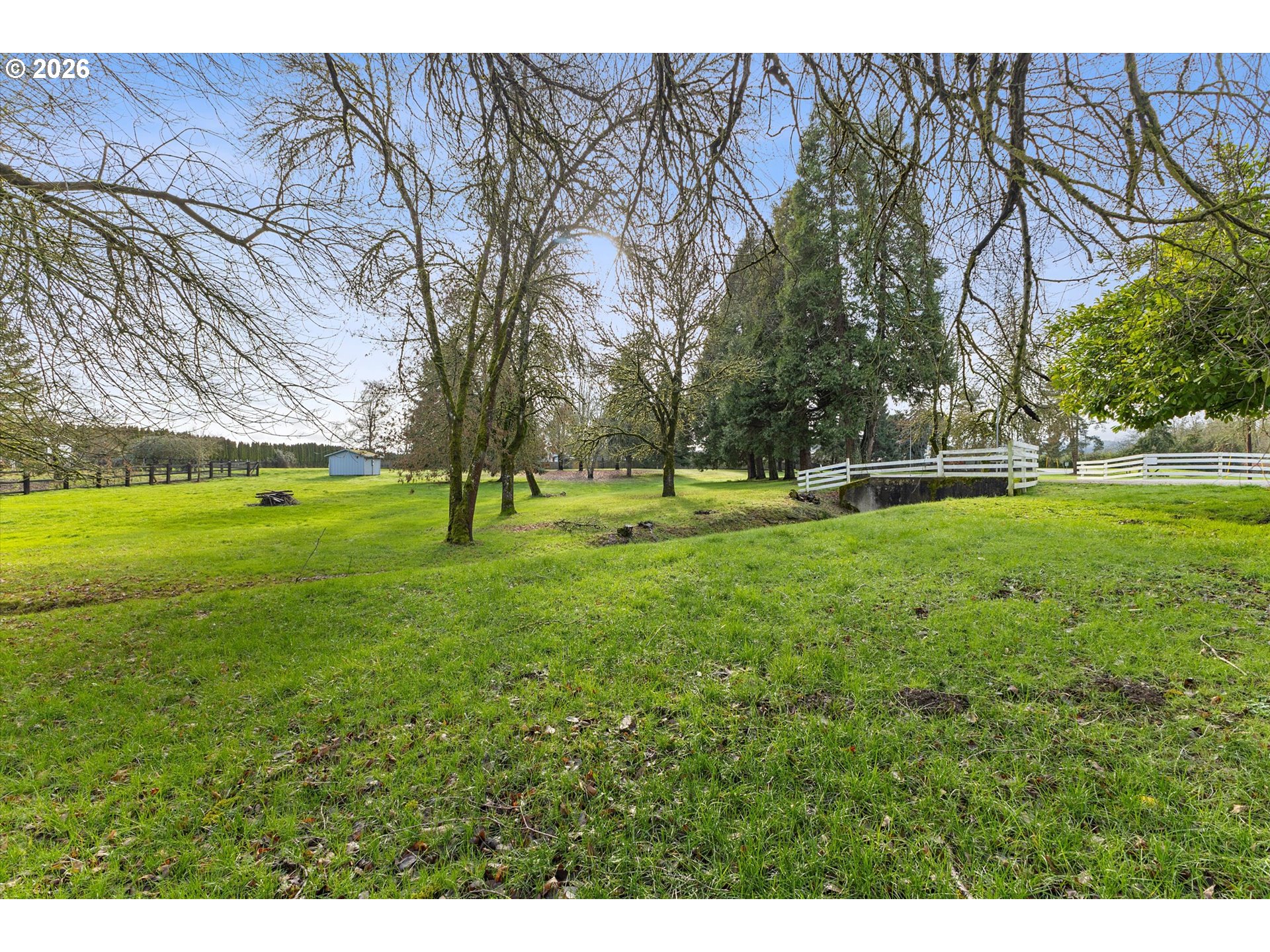 32935 Southwest Oakview Court Cornelius, OR 97113 - Photo 44 of 47 a view of a park with large trees