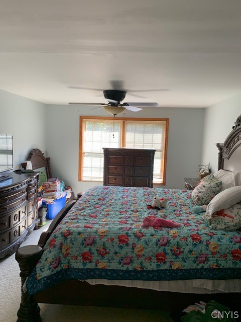 384 Pardeeville Road Cold Brook, NY 13324 - Photo 13 of 20