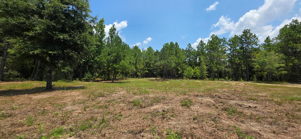 3.14-acres Corbin Road Newton, AL 36352 - Photo 5 of 31 Gallery Image 5