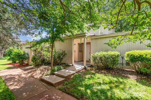 a view of a back yard with plants and large trees