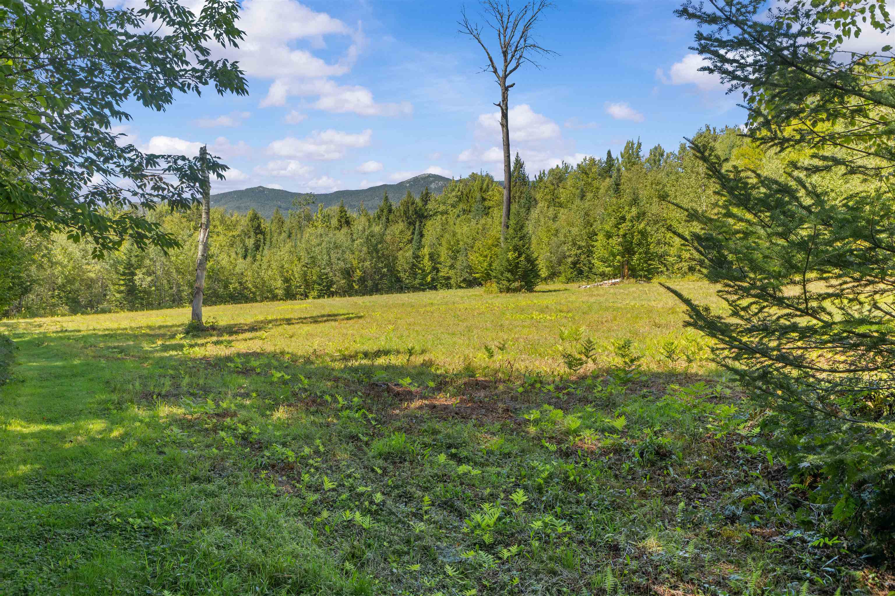 570 West Hill Road Middlesex, VT 05682 - Photo 53 of 60 Gallery Image 53