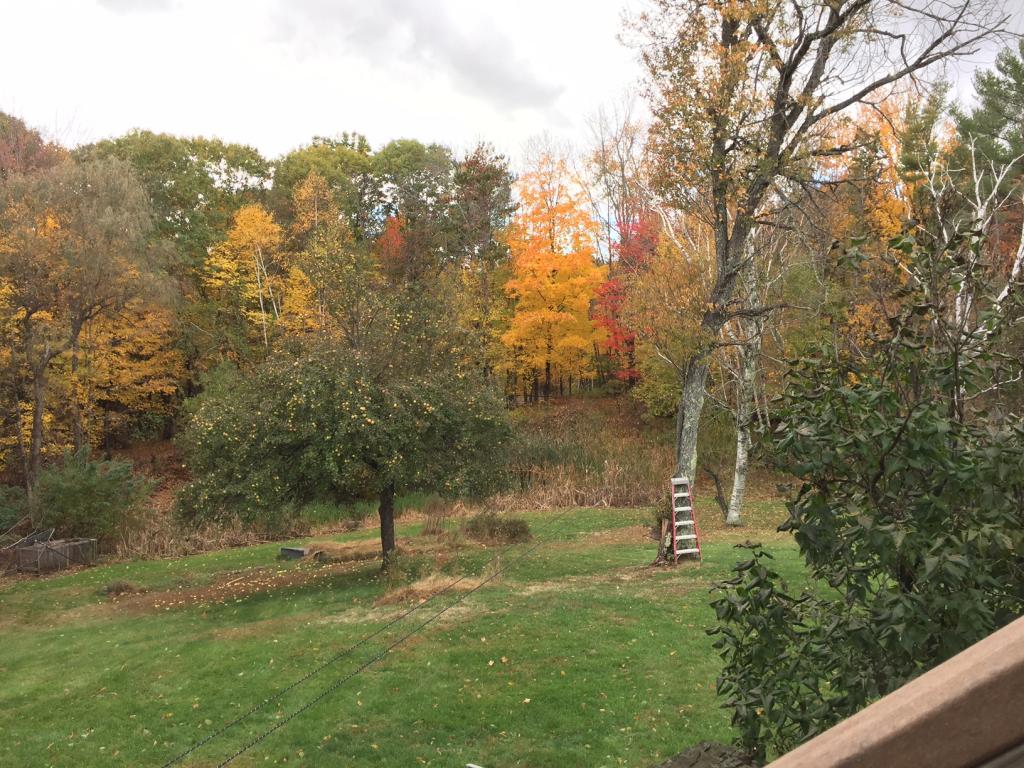 56 Ridge Road Deerfield, NH 03037 - Photo 16 of 20