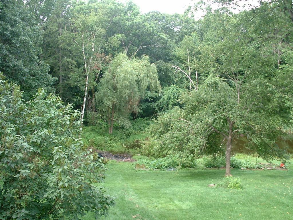 56 Ridge Road Deerfield, NH 03037 - Photo 19 of 20